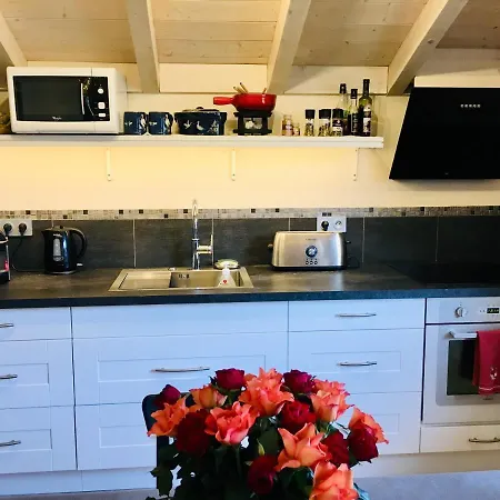 Luxury Near Geneva Homestay