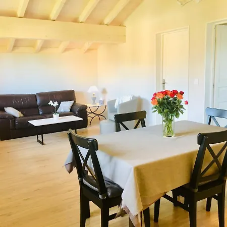 Homestay Luxury Near Geneva